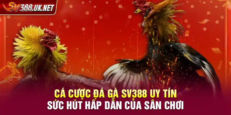 Cá Cược Đá Gà SV388 Uy Tín – Sức Hút Hấp Dẫn Của Sân Chơi Cá Cược Đá Gà SV388 Uy Tín – Sức Hút Hấp Dẫn Của Sân Chơi