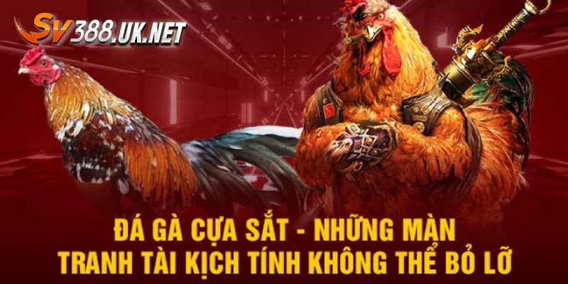 Đá Gà Cựa Sắt Campuchia - Các Trận Đấu Siêu Đẳng Cấp Đá Gà Cựa Sắt Campuchia - Các Trận Đấu Siêu Đẳng Cấp