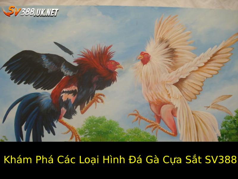 Đá Gà Cựa Sắt SV388 – Sự Kịch Tính Tại Trường Gà Nổi Tiếng Khám Phá Các Loại Hình Đá Gà Cựa Sắt Phổ Biến Trên SV388