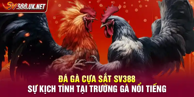 Đá Gà Cựa Sắt SV388 – Sự Kịch Tính Tại Trường Gà Nổi Tiếng Đá Gà Cựa Sắt SV388 – Sự Kịch Tính Tại Trường Gà Nổi Tiếng