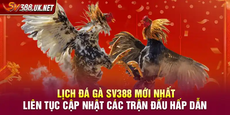 Lịch Đá Gà SV388 Mới Nhất – Cập Nhật Các Trận Đấu Hấp Dẫn Lịch Đá Gà SV388 Mới Nhất – Liên Tục Cập Nhật Các Trận Đấu Hấp Dẫn