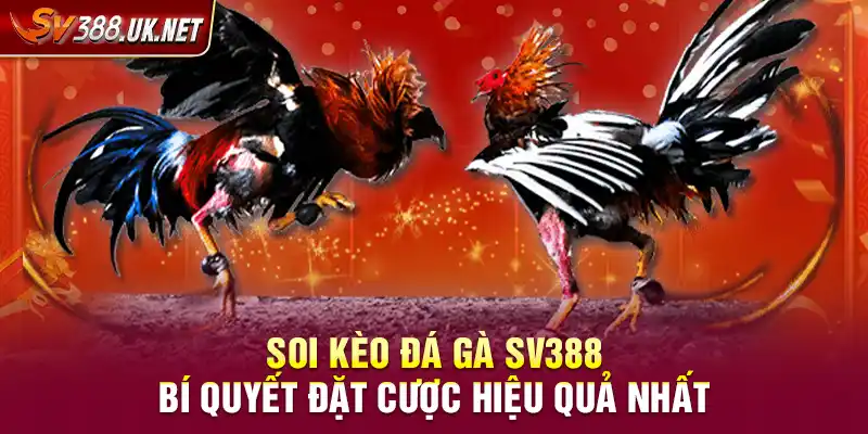 Soi Kèo Đá Gà SV388 – Bí Quyết Đặt Cược Hiệu Quả Nhất Soi Kèo Đá Gà SV388 – Bí Quyết Đặt Cược Hiệu Quả Nhất