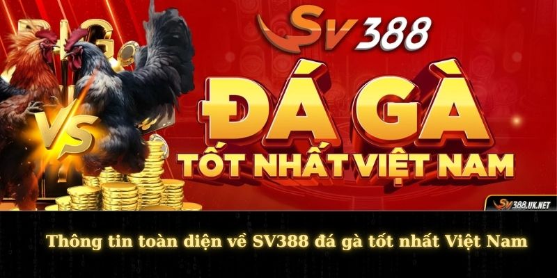 SV388 Đá Gà Tốt Nhất Việt Nam - Website Chiến Kê Hot 2025 Thông tin toàn diện về SV388 đá gà tốt nhất Việt Nam