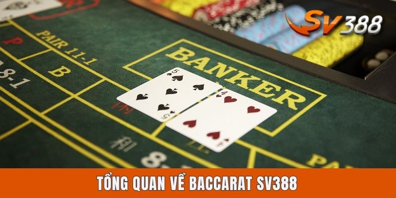 Baccarat Sv388 - Cách Chơi Từ A đến Z Dành Cho Newbies Tổng quan về Baccarat Sv388