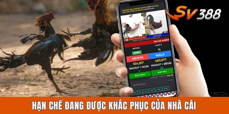 Hạn chế đang được khắc phục của nhà cái