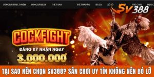 Tại Sao Nên Chọn Sv388? Sân Chơi Uy Tín Không Nên Bỏ Lỡ