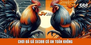 Chơi Đá Gà Sv388 Có An Toàn Không Dựa Trên 4 Yếu Tố Cốt Lõi