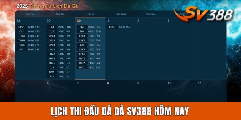 Lịch Thi Đấu Đá Gà Sv388 Hôm Nay | Tra Cứu Tin Mới Nhất 2025 Lịch Thi Đấu Đá Gà Sv388 Hôm Nay | Tra Cứu Tin Mới Nhất 2025
