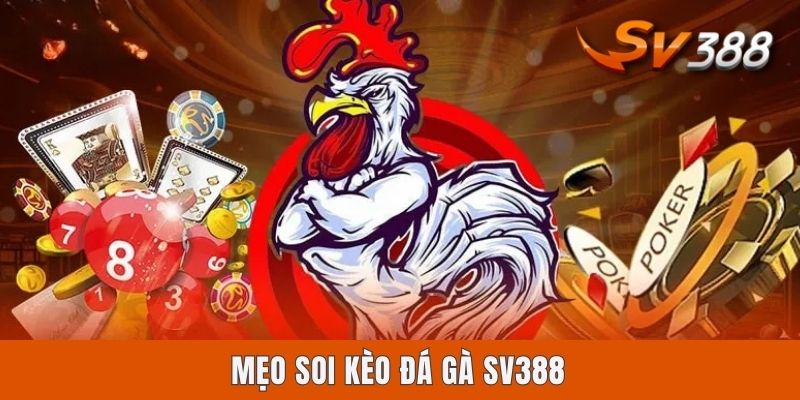 Mẹo Soi Kèo Đá Gà Sv388 | Cẩm Nang 4 Bí Kíp Vàng Bất Bại